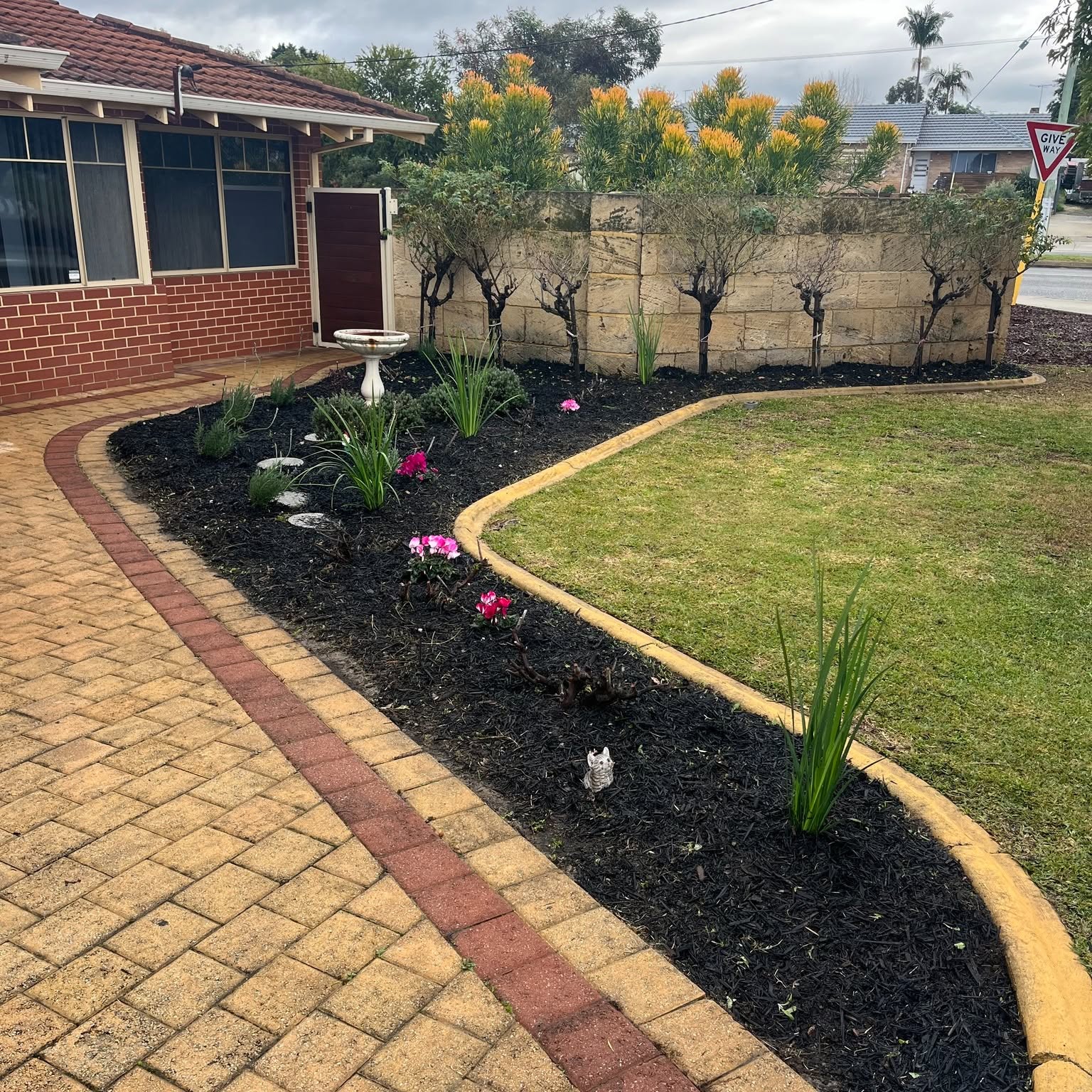 Garden tidy-up result in Wembley WA showing fresh mulch, neat edging and flowering plants