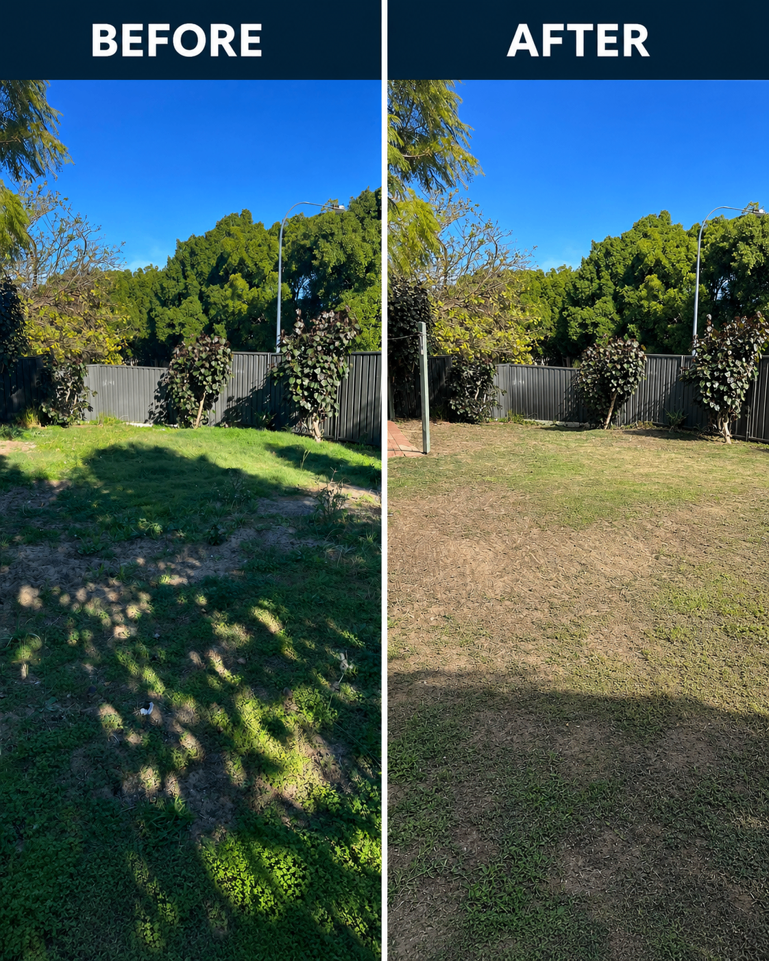 Backyard tidy and lawn cleanup before and after in Wembley WA