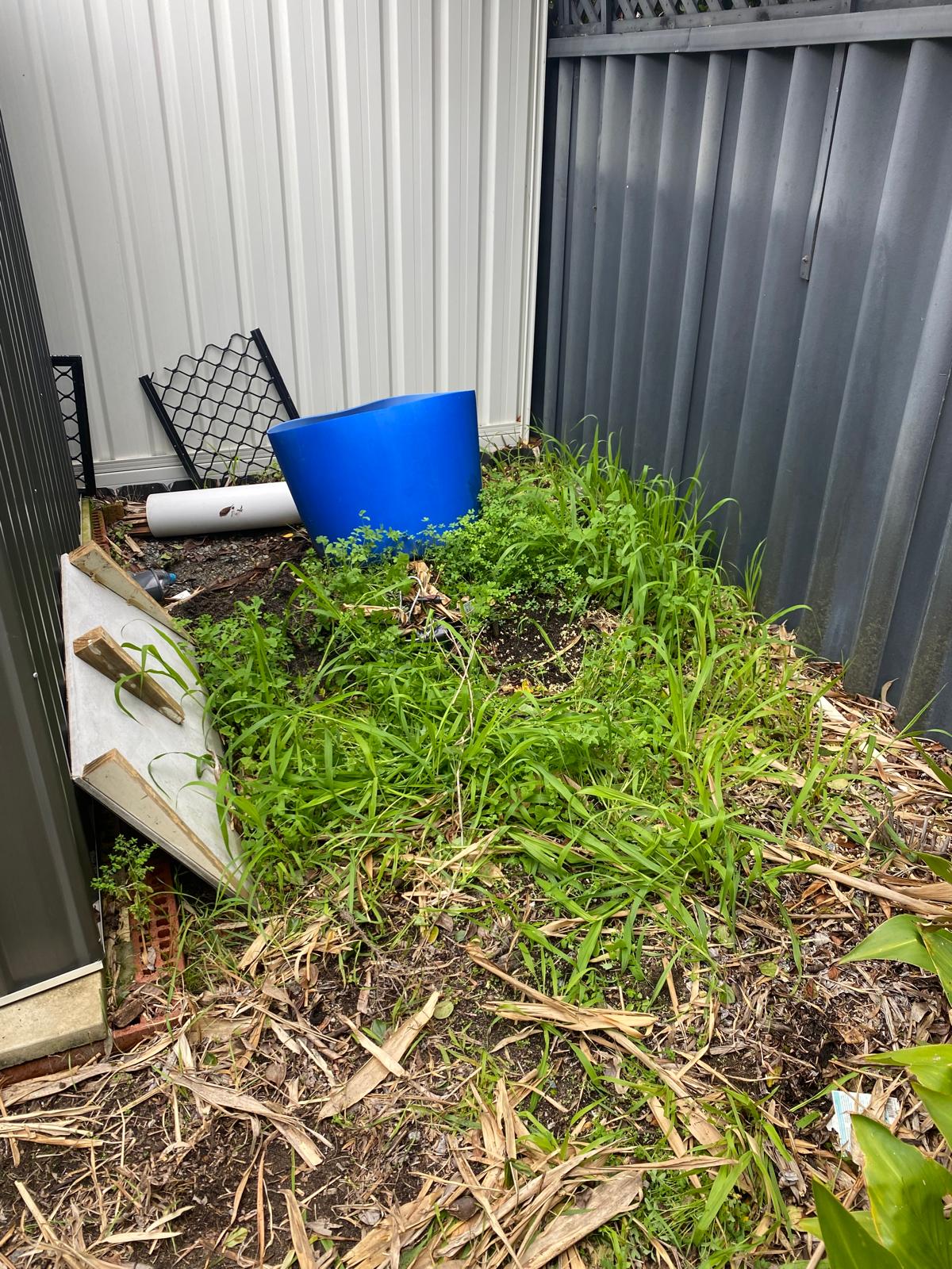 Overgrown side yard in Perth WA covered in weeds, long grass and rubbish before a tidy-up