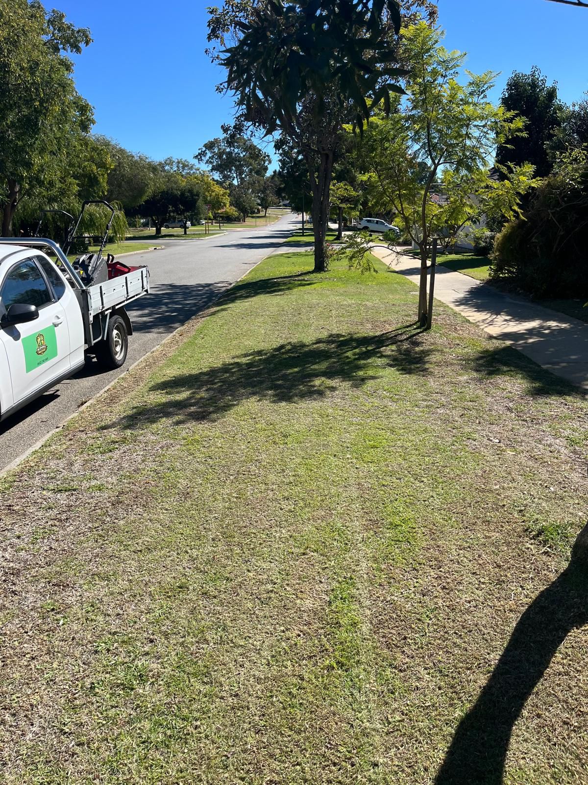 Verge lawn mowing before and after in Wembley WA