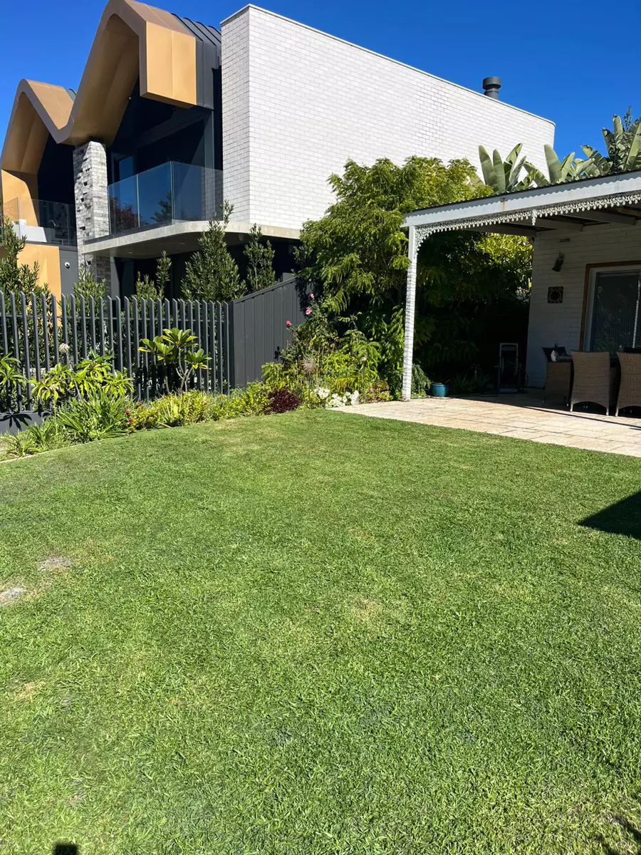Green waste cleared in Wembley — clippings and prunings removed by Mr Sparkle Prestige.