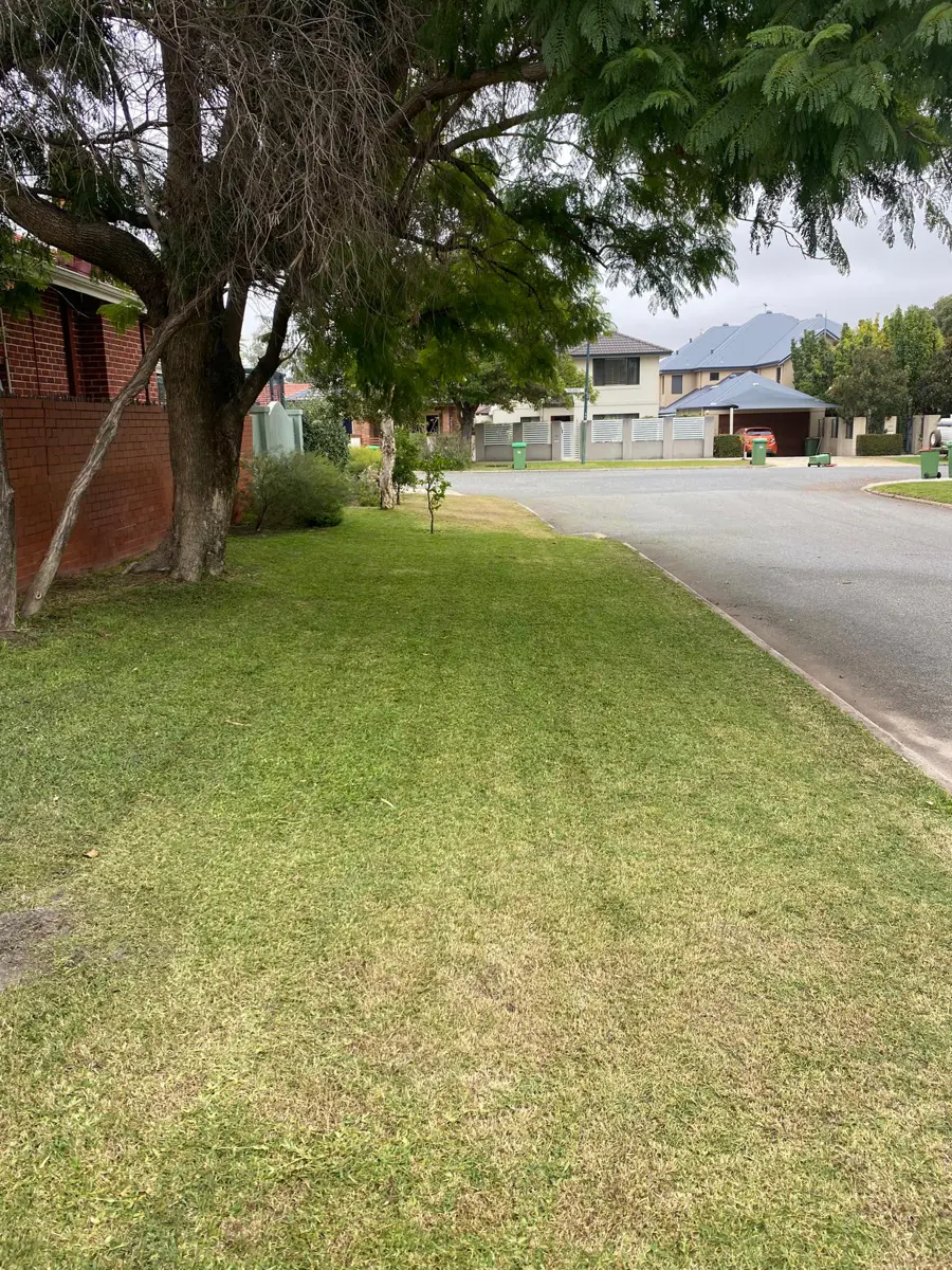 Verge lawn mowed in Wembley — clean edges along the footpath by Mr Sparkle Prestige.