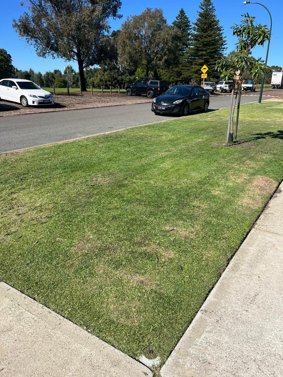Verge mowing in Perth — neat kerb-side strip mowed and edged by Mr Sparkle Prestige.